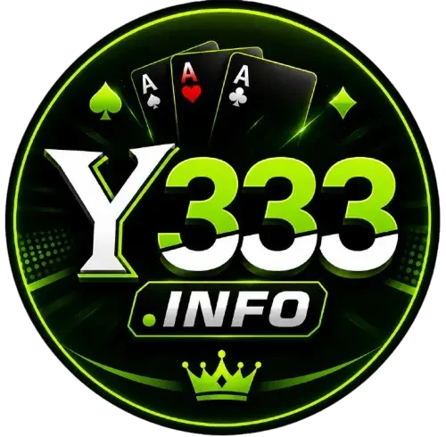 Y3333